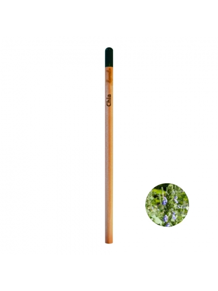 matite-fanny-easy-con-fusto-colorato-verde chiaro.jpg